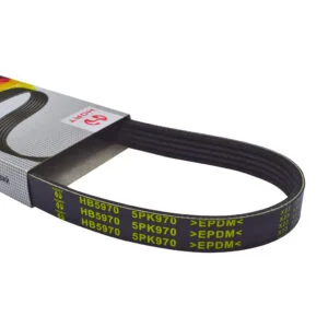 Ремінь генератора поліклиновий HB5970 (5PKх970) (HORT)