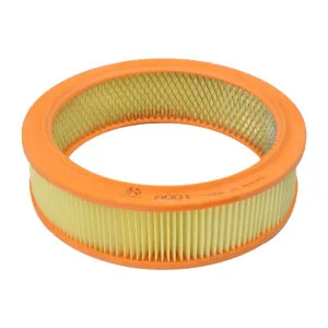 Фільтр повітряний (е-т) A001 в полиэт. упак. (C2443/1)   (HORT)